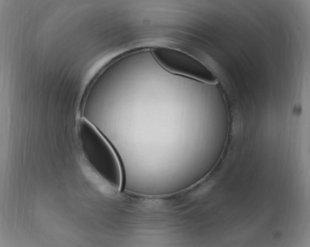 X0000110940940200906191047