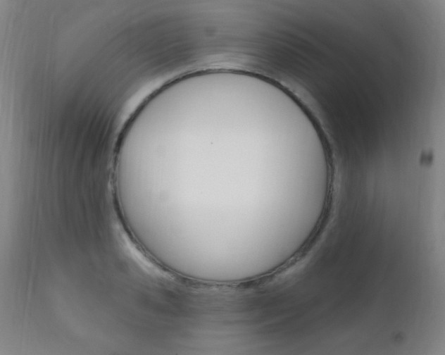 X0000110940941200906191047