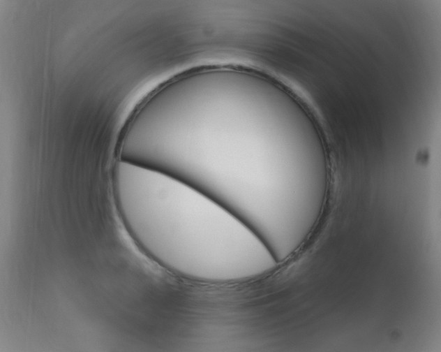 X0000110940943200906191047