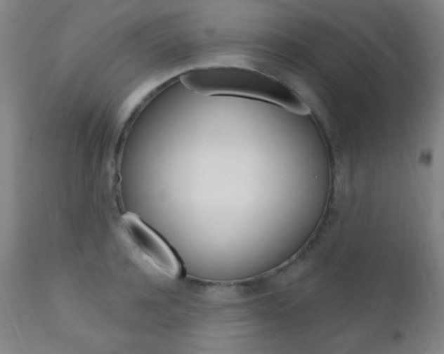 X0000110940944200906191047