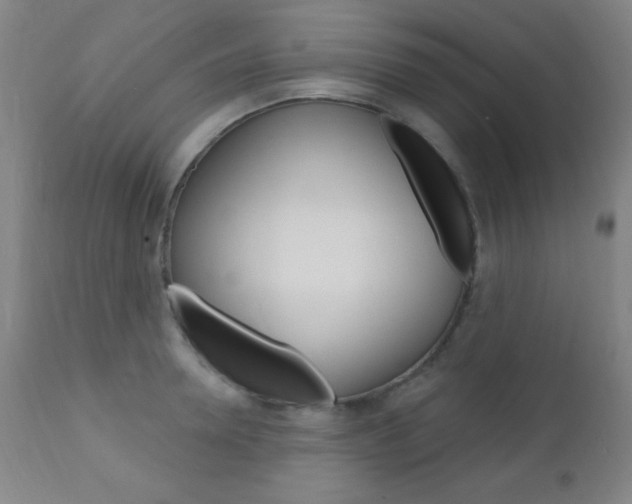 X0000110940946200906191047