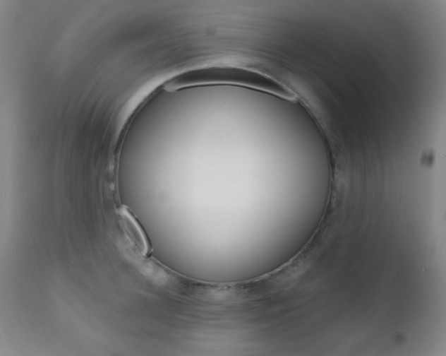 X0000110940948200906191047