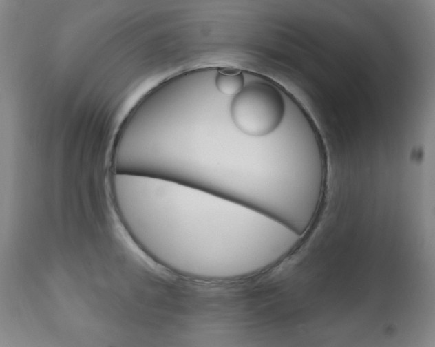 X0000110940949200906191047