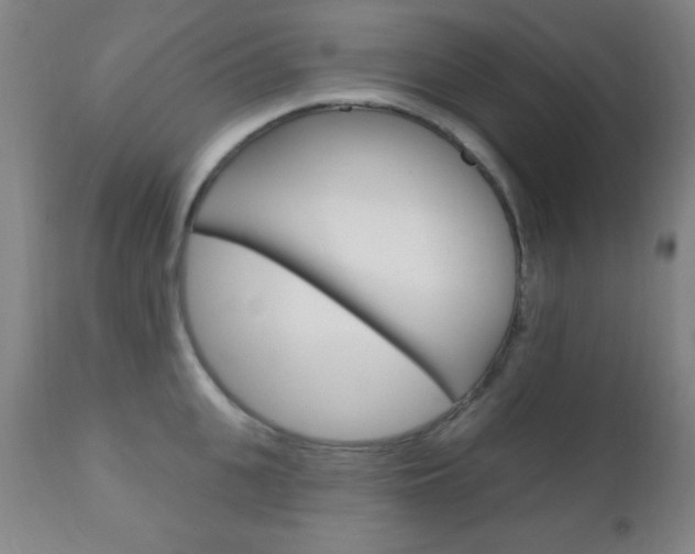 X0000110940951200906191047