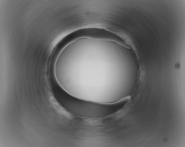 X0000110940952200906191047