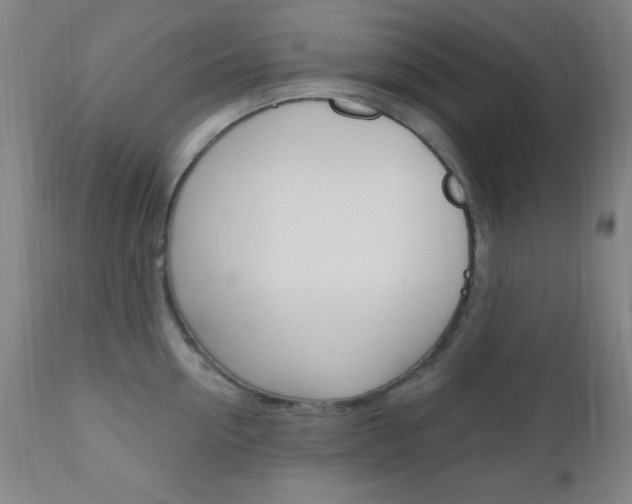 X0000110940954200906191047