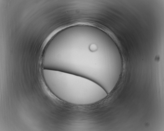 X0000110940955200906191047
