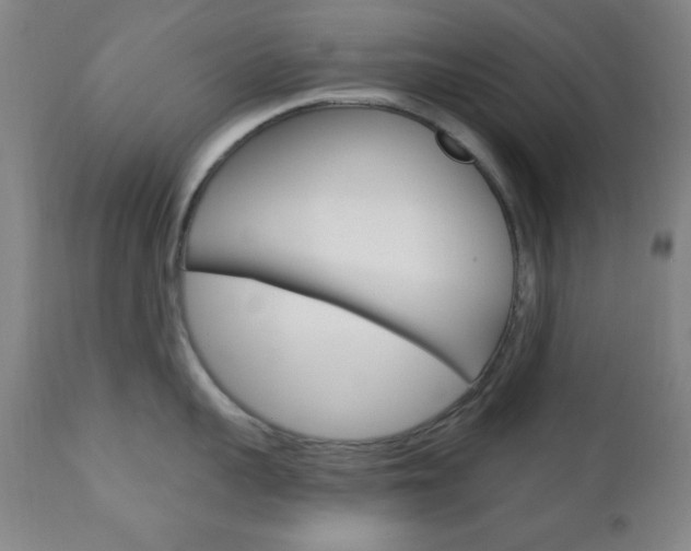 X0000110940959200906191047