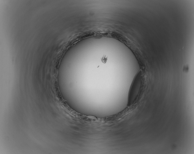X0000110940961200906191046