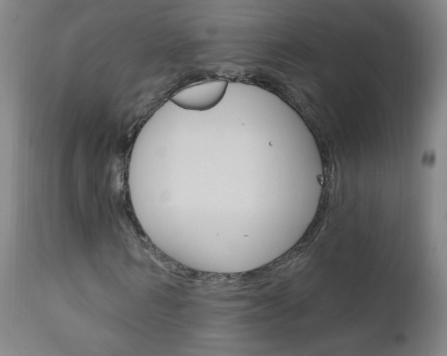 X0000110940962200906191046