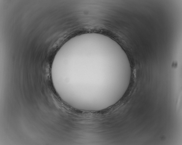 X0000110940963200906191046