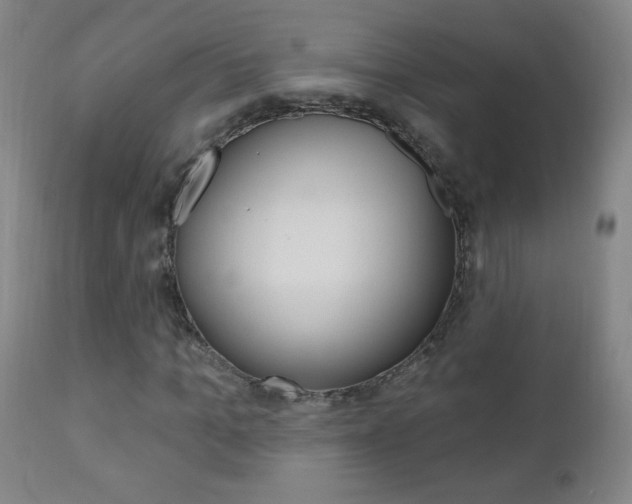 X0000110940965200906191046