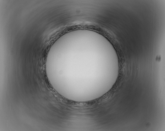 X0000110940966200906191046