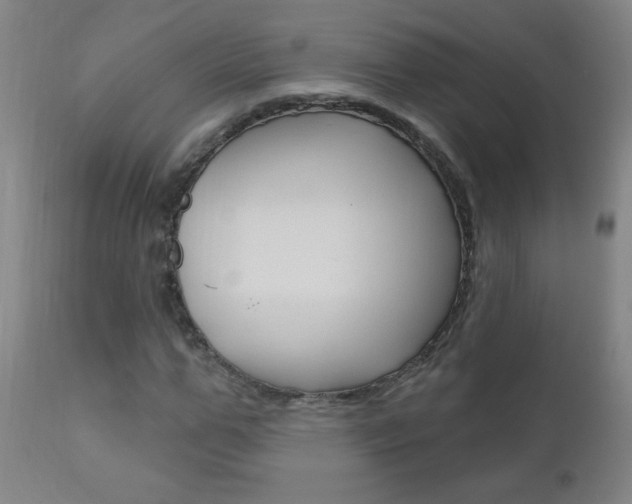 X0000110940967200906191046