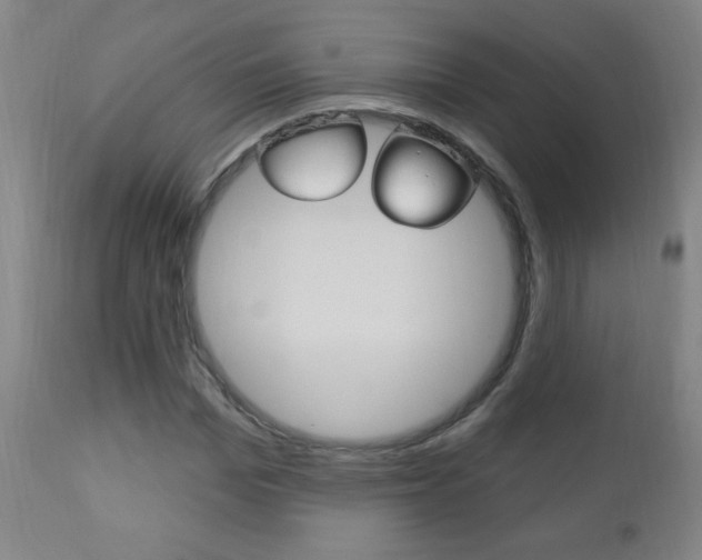 X0000110940969200906191046