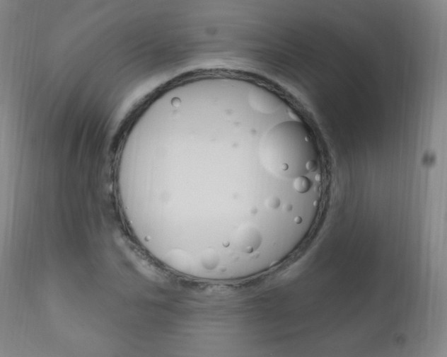 X0000110940974200906191046