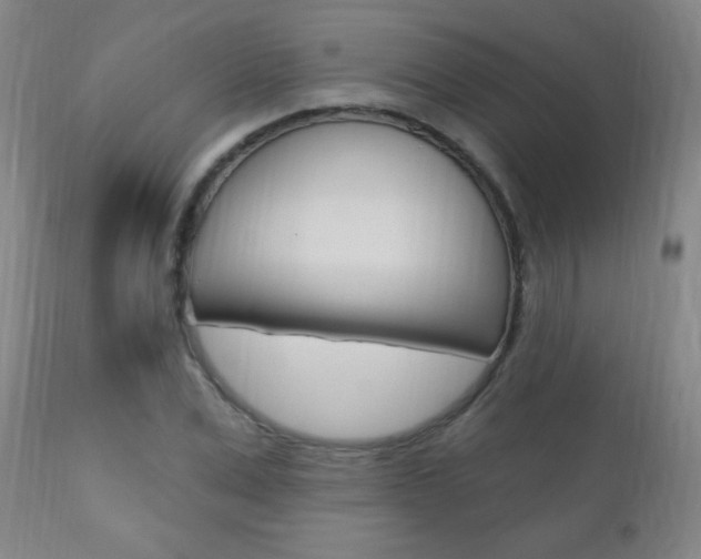 X0000110940975200906191046