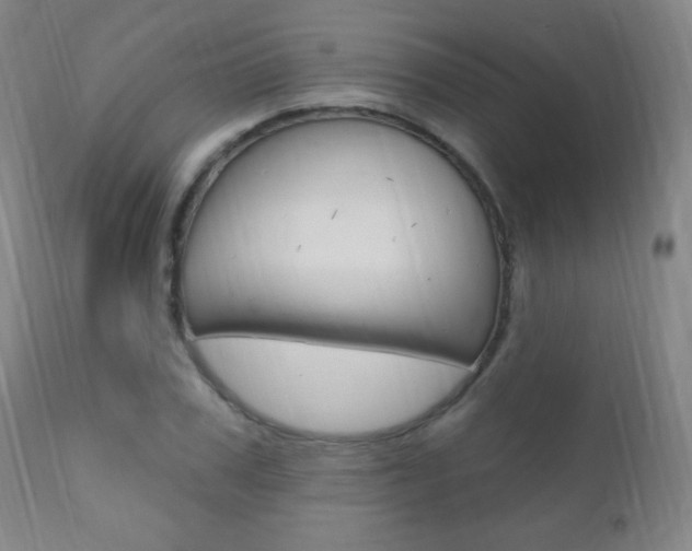 X0000110940979200906191046