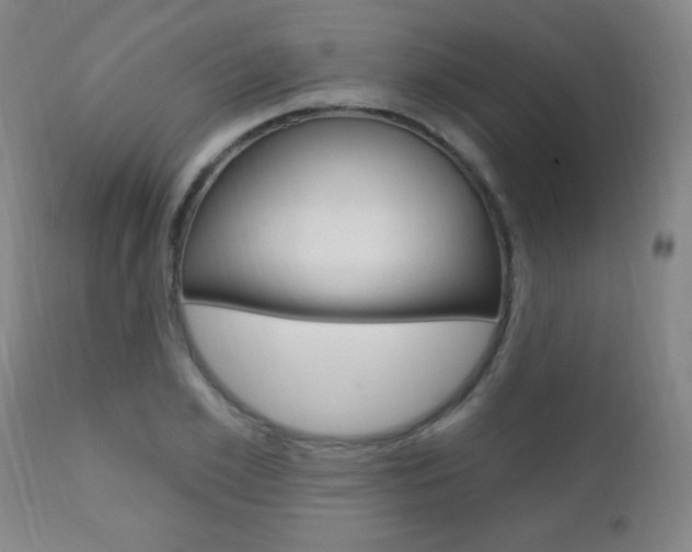 X0000110940981200906191046