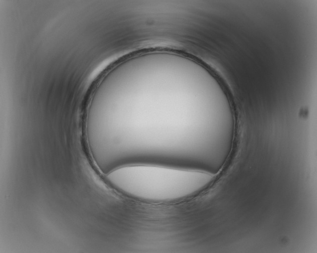 X0000110940983200906191046