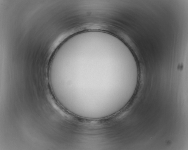 X0000110940986200906191046