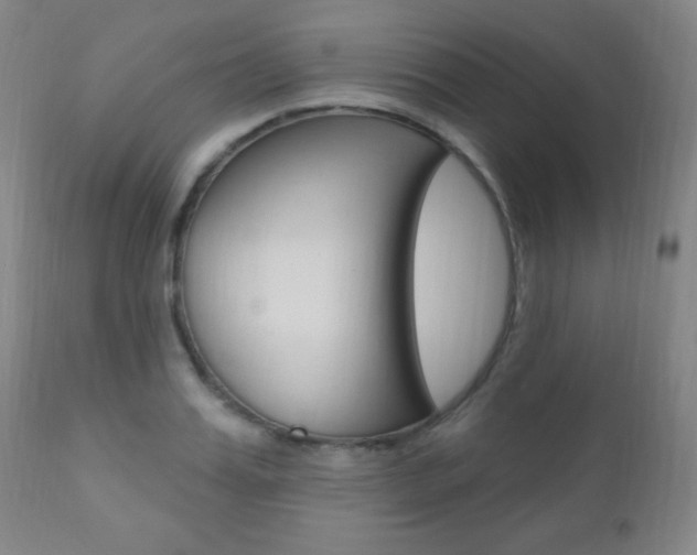 X0000110940987200906191046