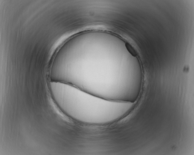 X0000110940989200906191046