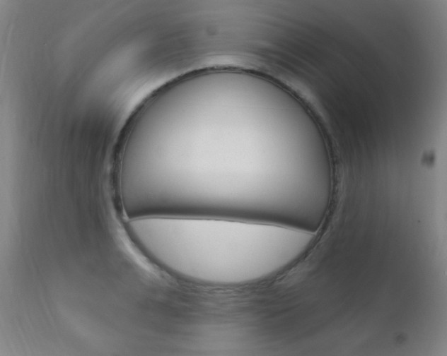 X0000110940991200906191046