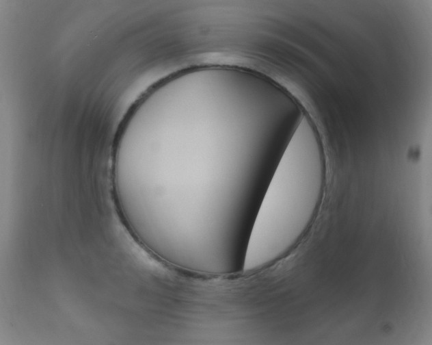 X0000110940992200906191046