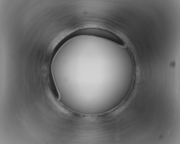 X0000110940993200906191046