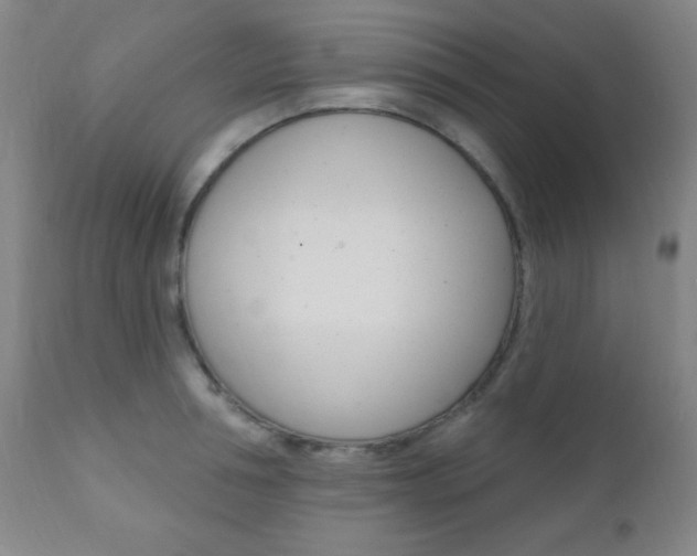 X0000110940994200906191046