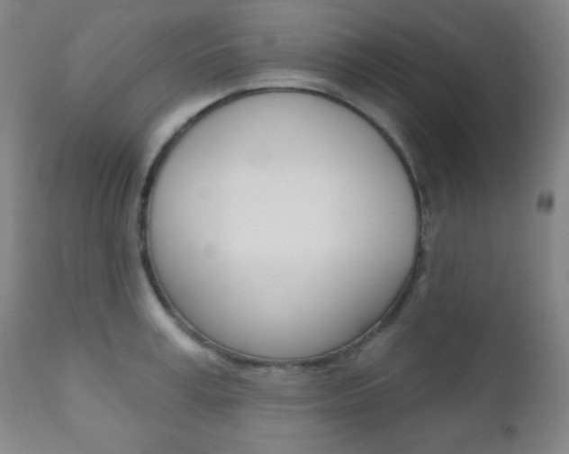 X0000110940995200906191046