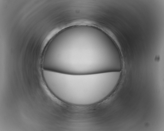 X0000110940997200906191046
