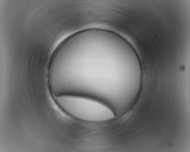 X0000110940999200906191046