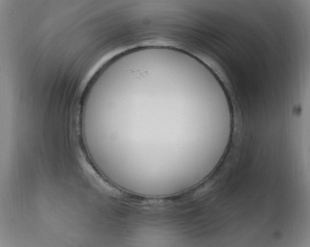 X0000110941000200906191046