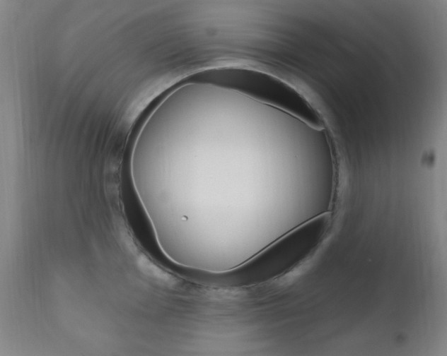 X0000110941001200906191046
