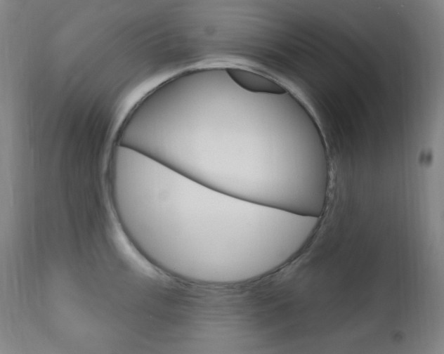 X0000110941003200906191046