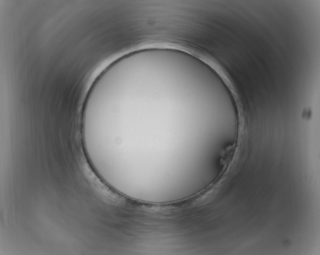 X0000110941004200906191046