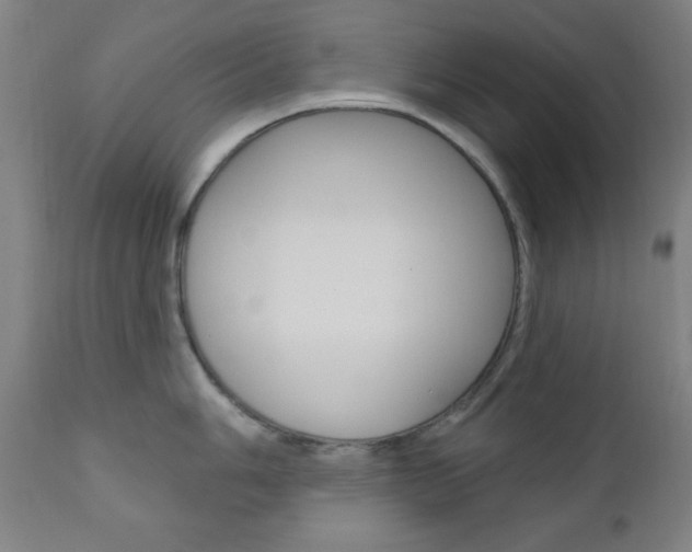 X0000110941006200906191046