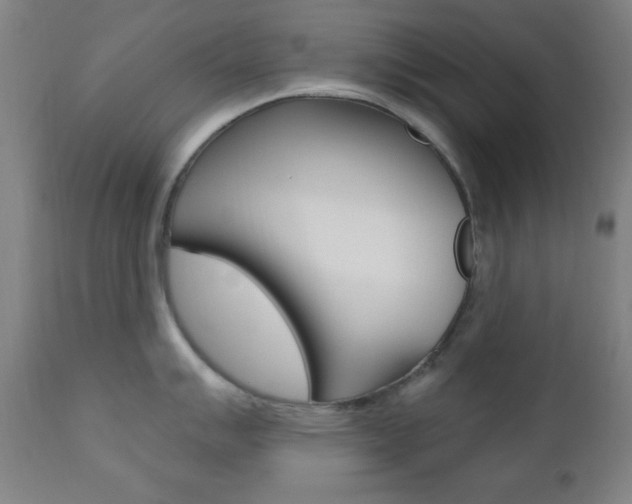 X0000110941007200906191046