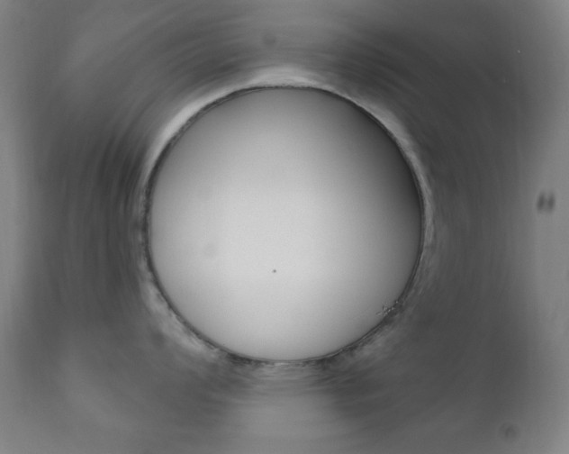 X0000110941008200906191046