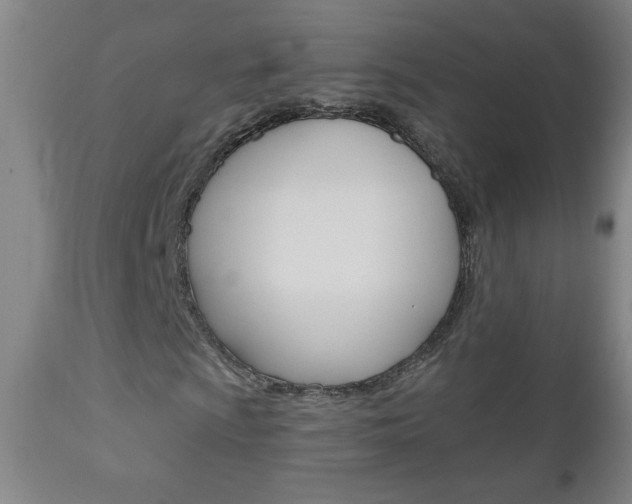 X0000110941009200906191045