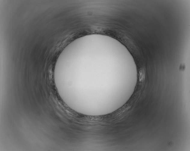 X0000110941011200906191045