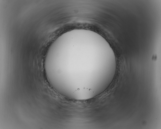 X0000110941013200906191045