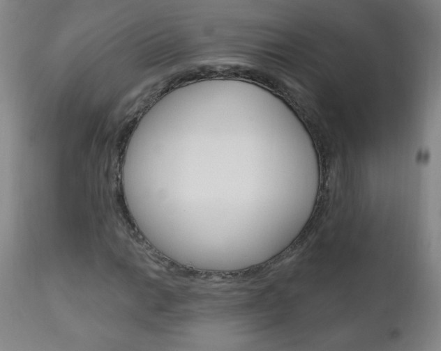 X0000110941014200906191045