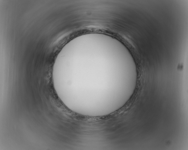 X0000110941015200906191045