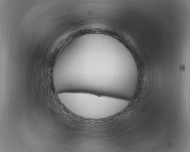 X0000110941016200906191045