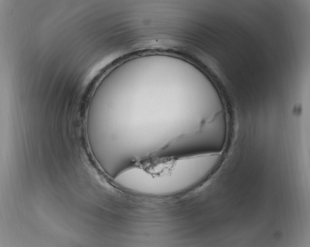 X0000110941018200906191045
