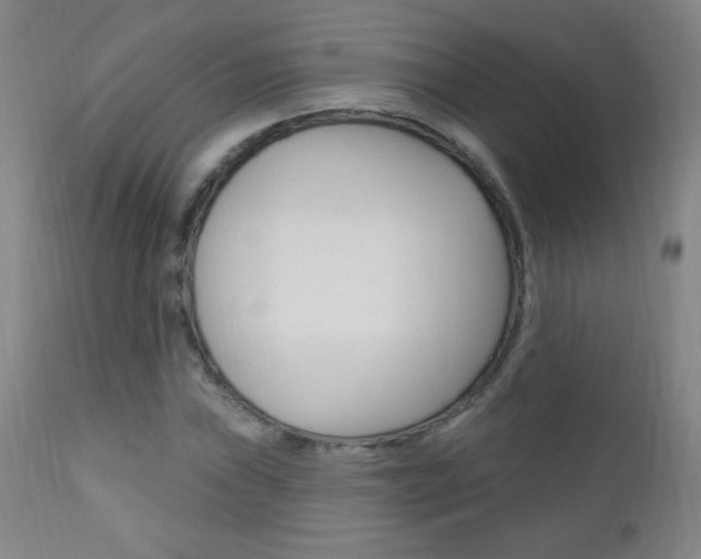 X0000110941019200906191045
