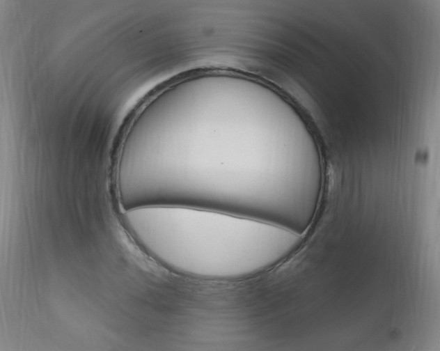 X0000110941020200906191045